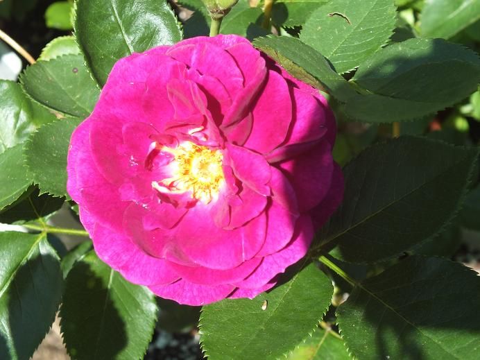  photo ebbtide2_zpsd1aa6666.jpg